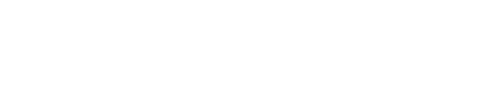Wahl BI Consulting